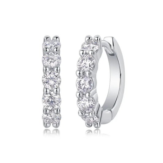Luxe Hoop Earrings