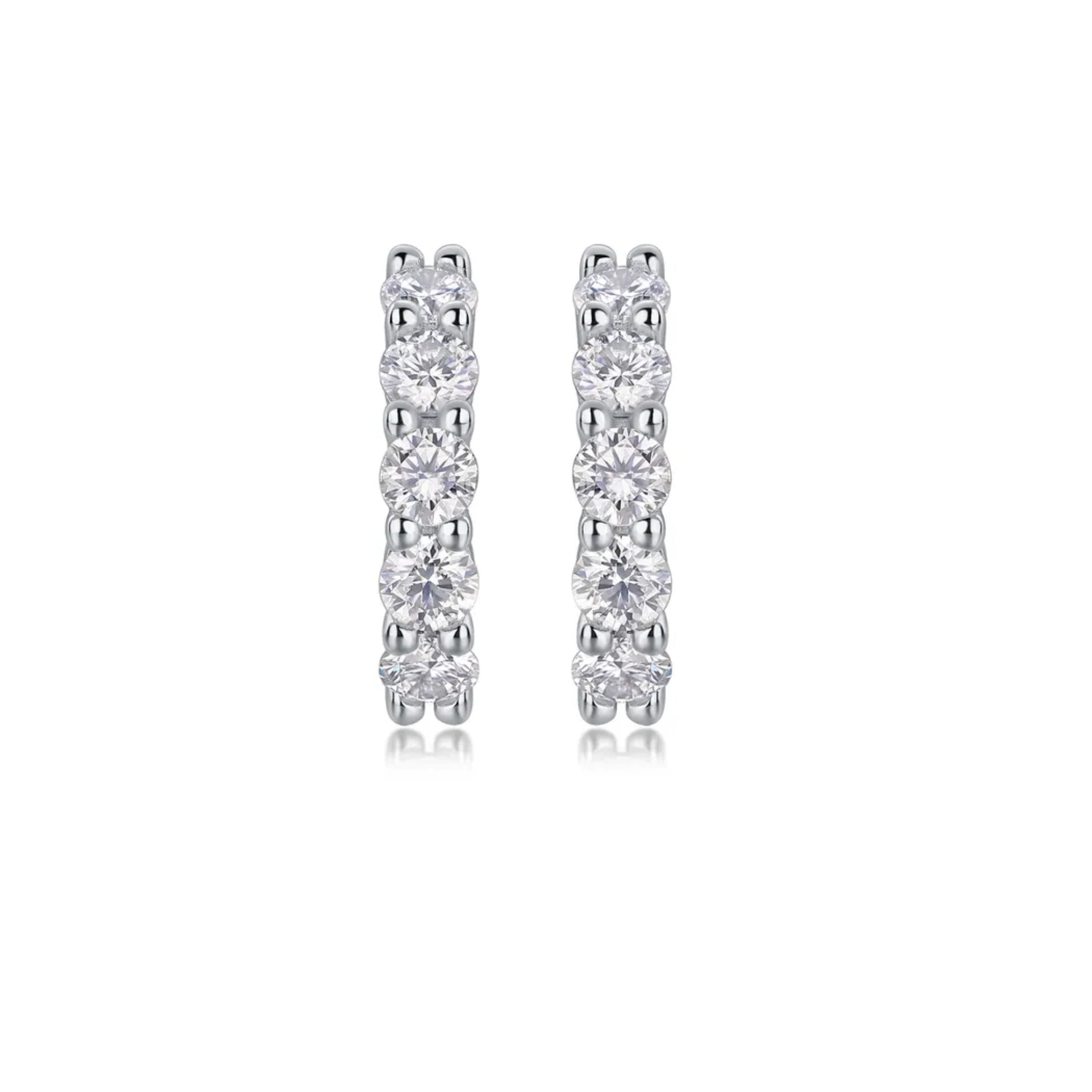Luxe Hoop Earrings