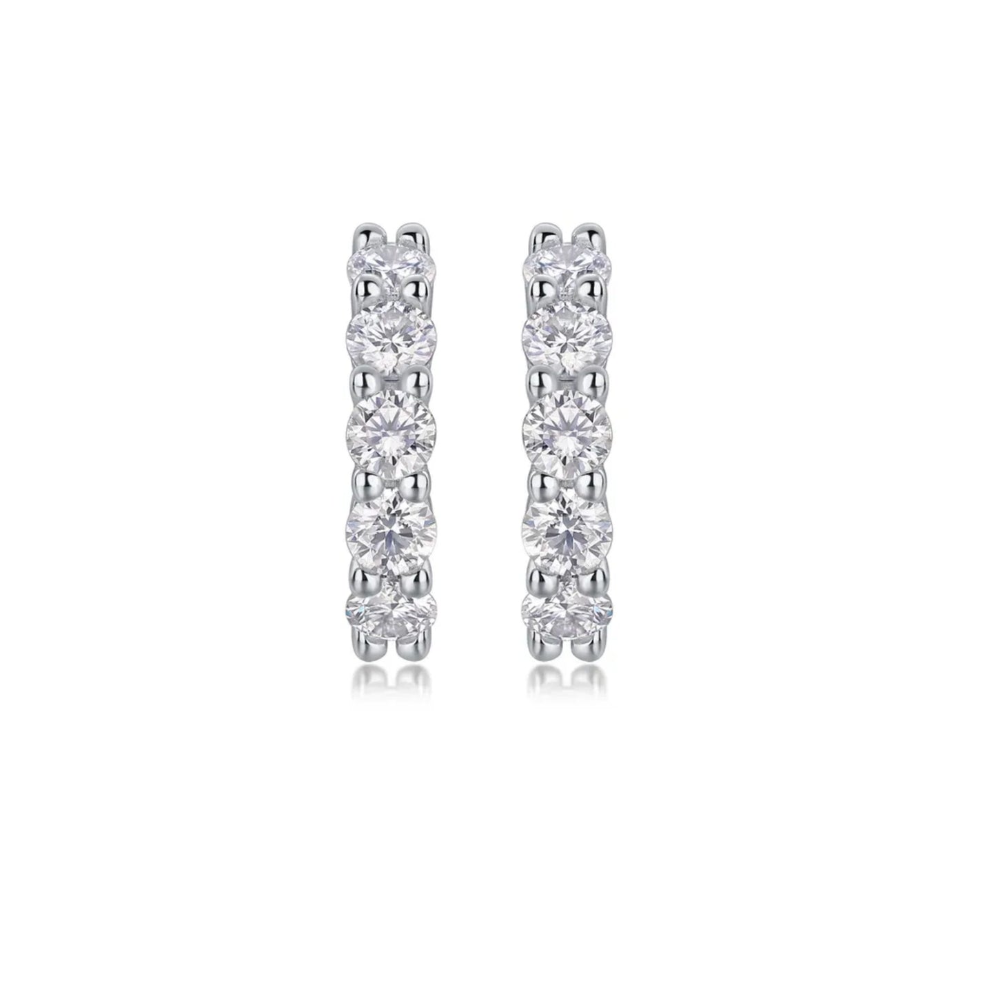 Luxe Hoop Earrings